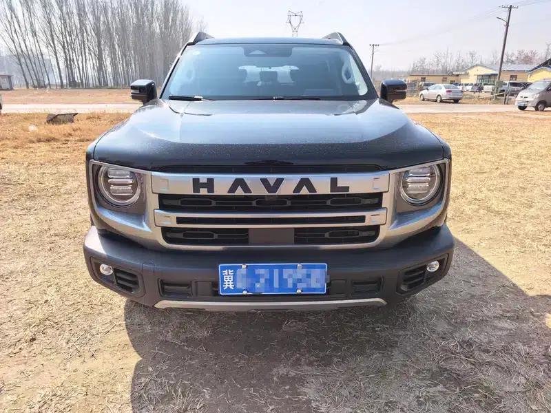 Haval Big Dog 2024 2.0T 4WD Chinese Rural Dog Edition — миниатюра 2