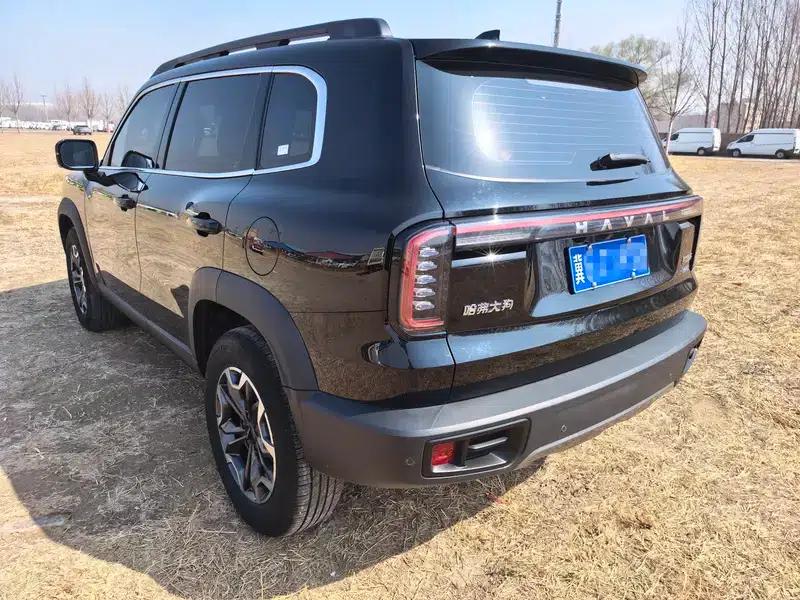 Haval Big Dog 2024 2.0T 4WD Chinese Rural Dog Edition — миниатюра 4