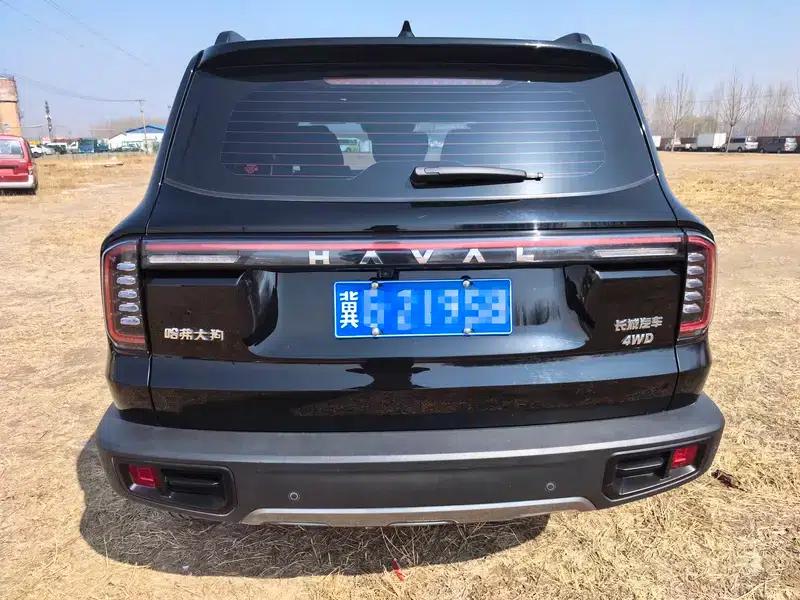 Haval Big Dog 2024 2.0T 4WD Chinese Rural Dog Edition — миниатюра 5