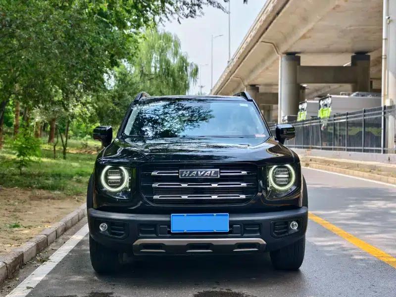 Haval Big Dog 2022 1.5T 2WD Labrador Edition — миниатюра 2