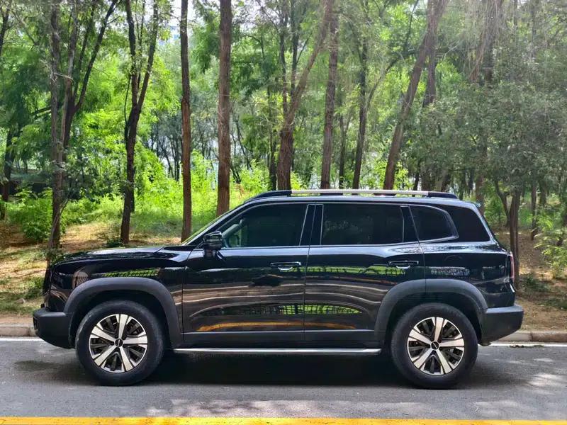 Haval Big Dog 2022 1.5T 2WD Labrador Edition — миниатюра 3