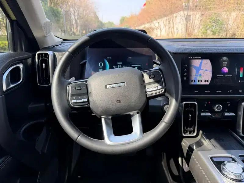 Haval Big Dog 2021 1.5T 2WD Labrador Edition — миниатюра 15
