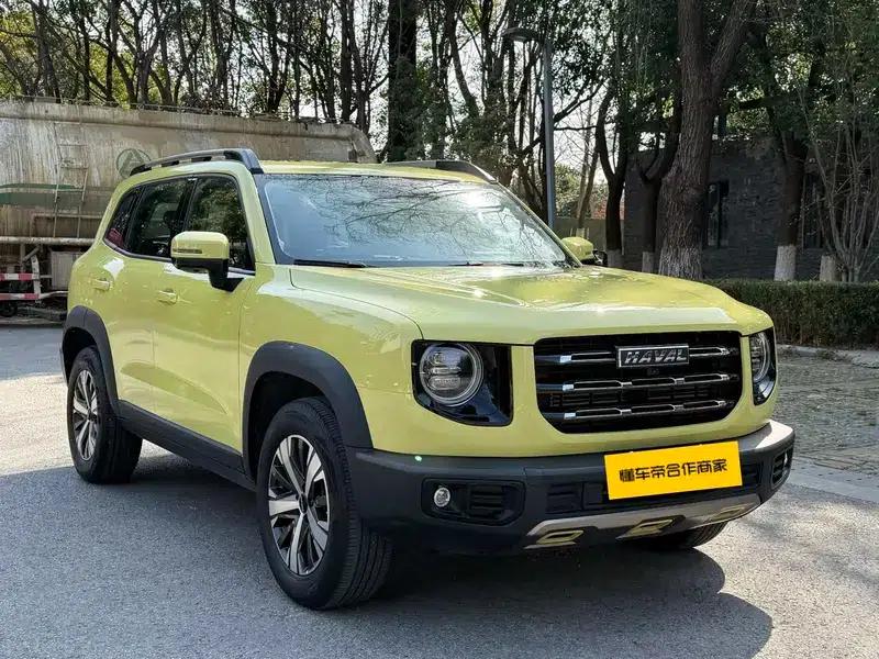 Haval Big Dog 2021 1.5T 2WD Labrador Edition — миниатюра 3