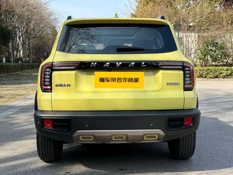 Haval Big Dog 2021 1.5T 2WD Labrador Edition — миниатюра 6