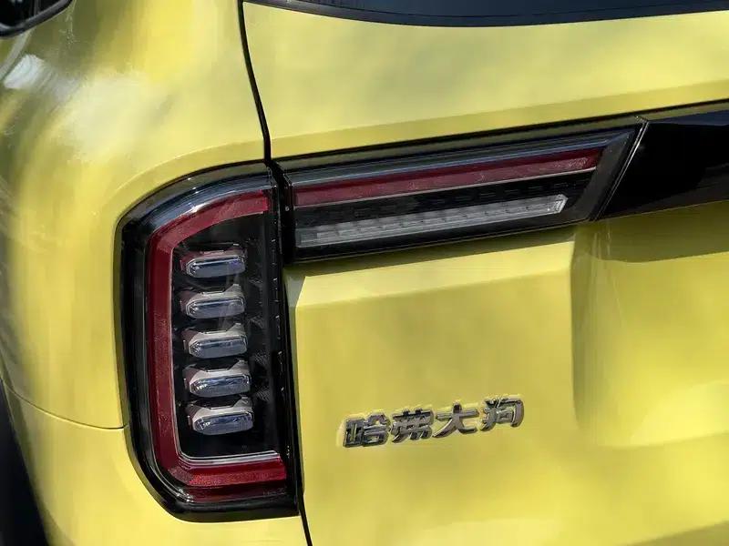 Haval Big Dog 2021 1.5T 2WD Labrador Edition — миниатюра 9