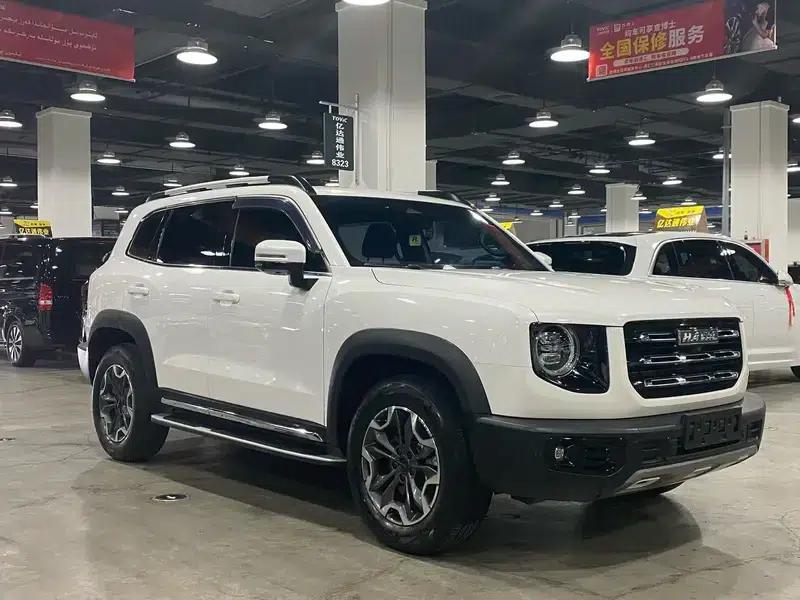 Haval Big Dog 2021 2.0T 4WD Chinese Rural Dog Edition — миниатюра 3