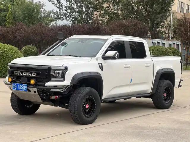 Dadao 2024 Daring Explorer 2.3T Automatic Gasoline 4WD Unlimited Edition