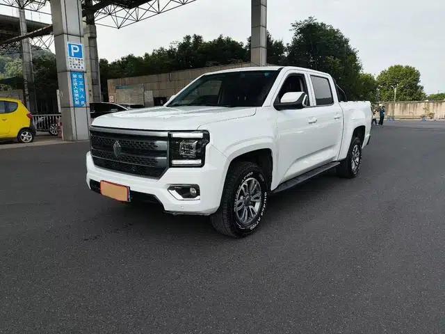 Dadao 2023 All-Rounder 2.3T Manual Diesel Commercial and Passenger Version 4WD Long Wheelbase Enjoyment Edition