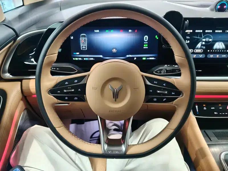 Voyah Dreamer PHEV 2024 - Long Range Flagship Edition — миниатюра 8