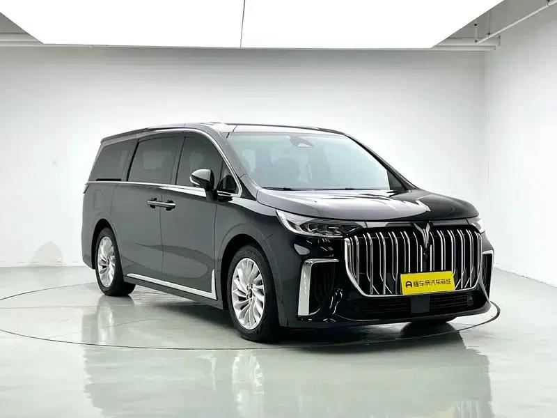 Voyah Dreamer PHEV 2024 - Extended Range Premium Edition — миниатюра 3