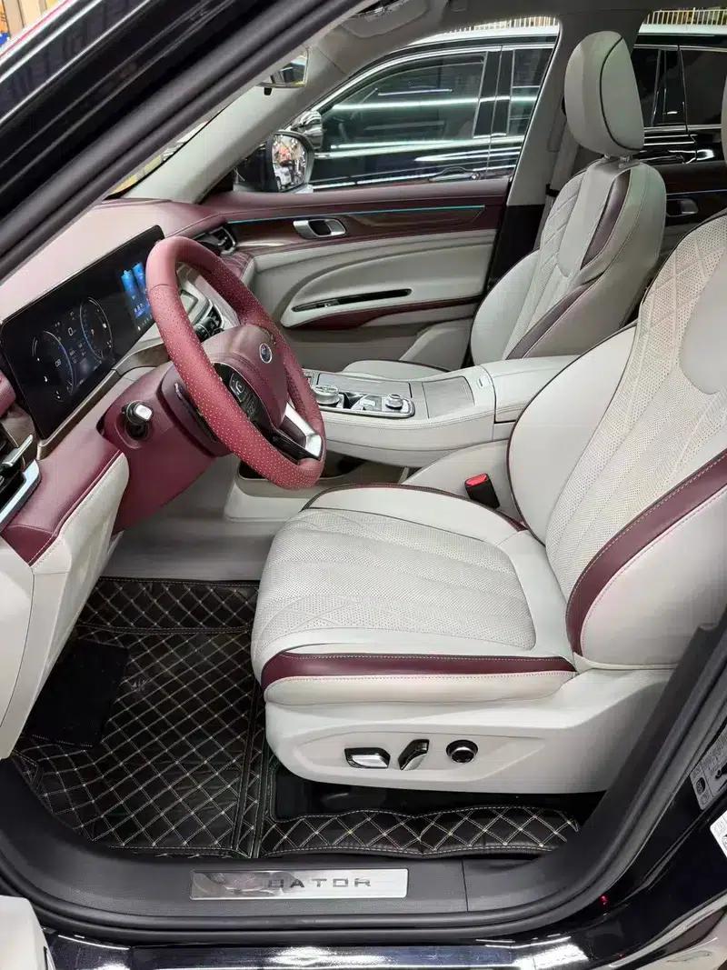 Lingyu 2021 EcoBoost 225 6-seater Premium Model — миниатюра 8