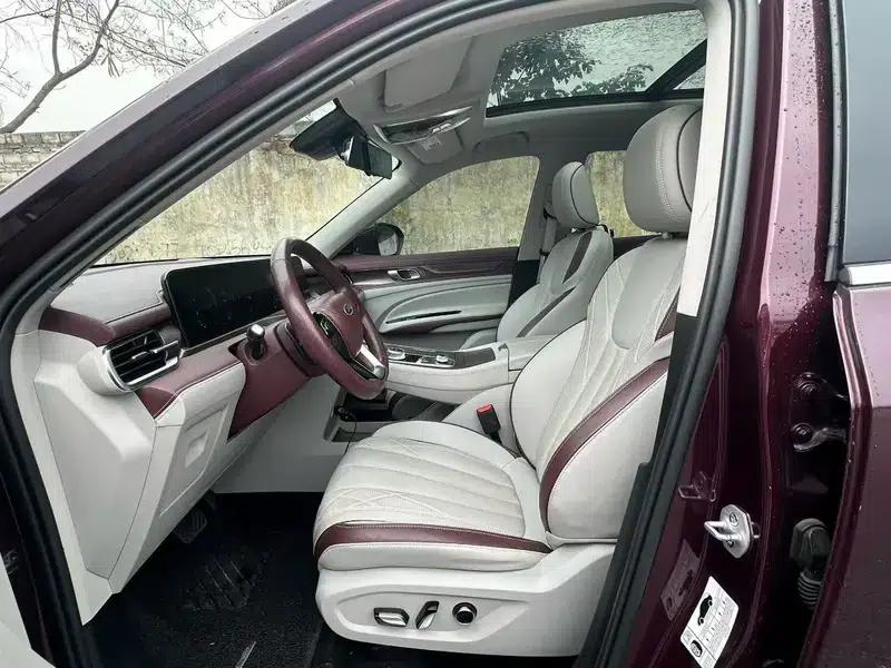 Lingyu 2021 EcoBoost 225 6-seater Platinum Edition — миниатюра 8