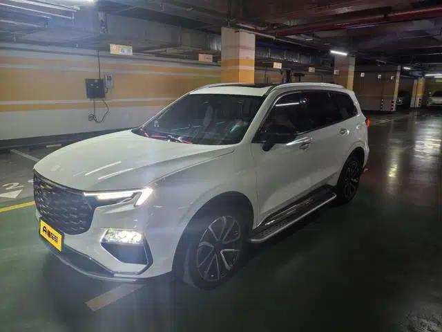 Lingyu 2023 EcoBoost 225 7-seater Premium (2/3/2)