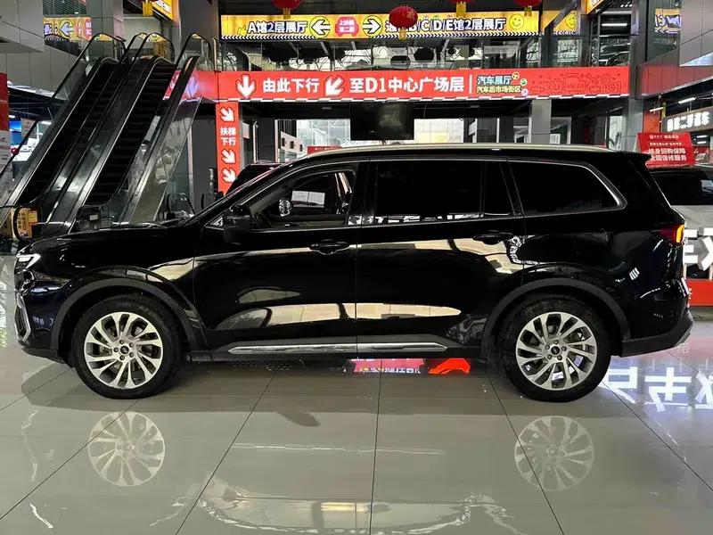 Lingyu 2021 EcoBoost 225 5-seater Platinum Edition — миниатюра 4