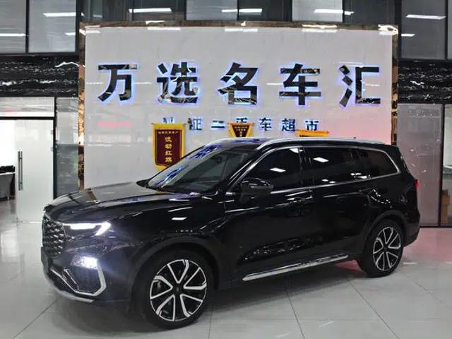 Lingyu 2023 EcoBoost 225 7-seater Premium (2/2/3)