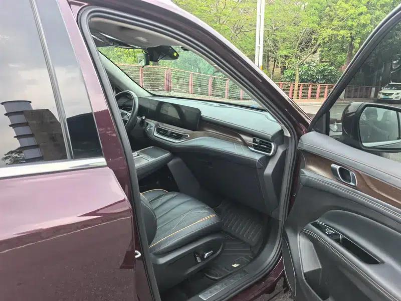 Lingyu 2021 EcoBoost 225 6-seater Premium Model — миниатюра 23