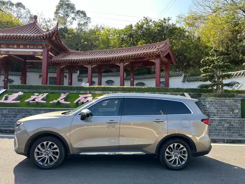 Lingyu 2021 EcoBoost 225 6-seater Premium Model — миниатюра 4