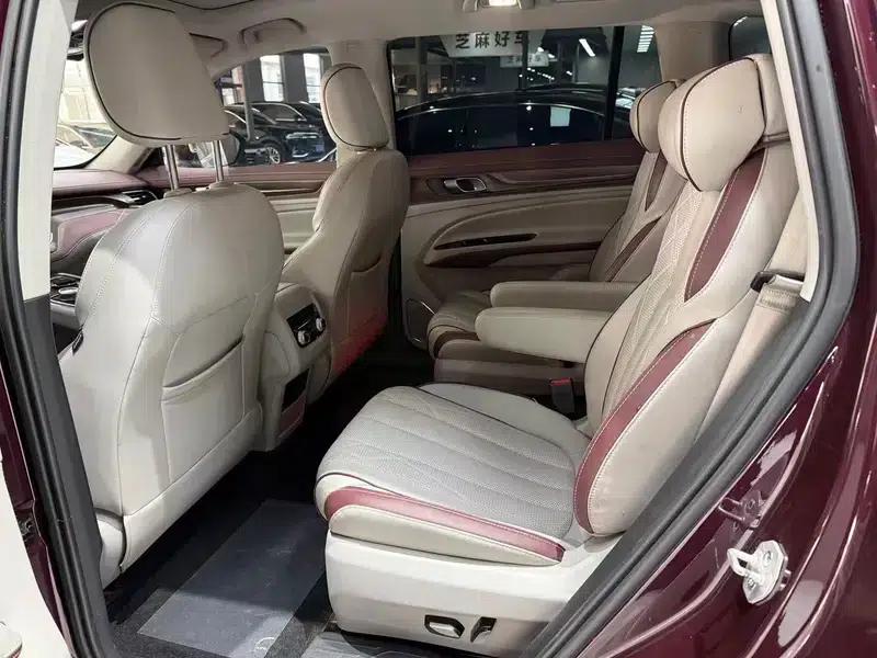 Lingyu 2021 EcoBoost 225 6-seater Premium Model — миниатюра 12