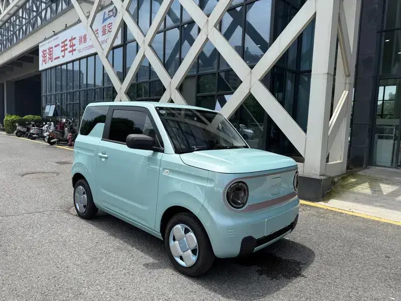 Panda 2023 Model 200km Panda Mini Endurance Bear — миниатюра 3