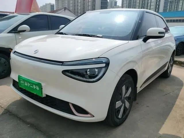 Dongfeng NAMMI 01 2024 New Edition 330 Air