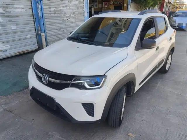 Dongfeng NAMMI EX1 2021 Zhi Ling Version