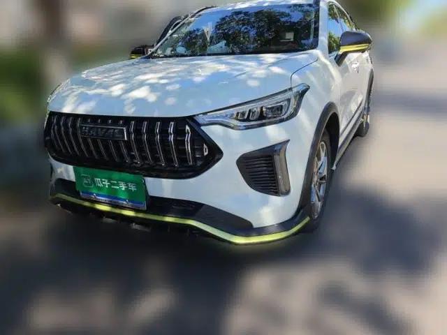 Haval LHERY 2022 Jingxiang Edition 1.5T Copper Rabbit
