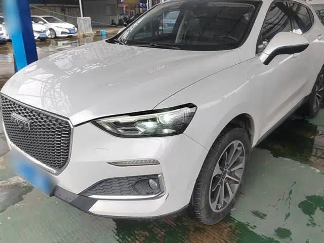 Haval F5 2019 National Trend Edition 1.5T i-Trend China VI Standard