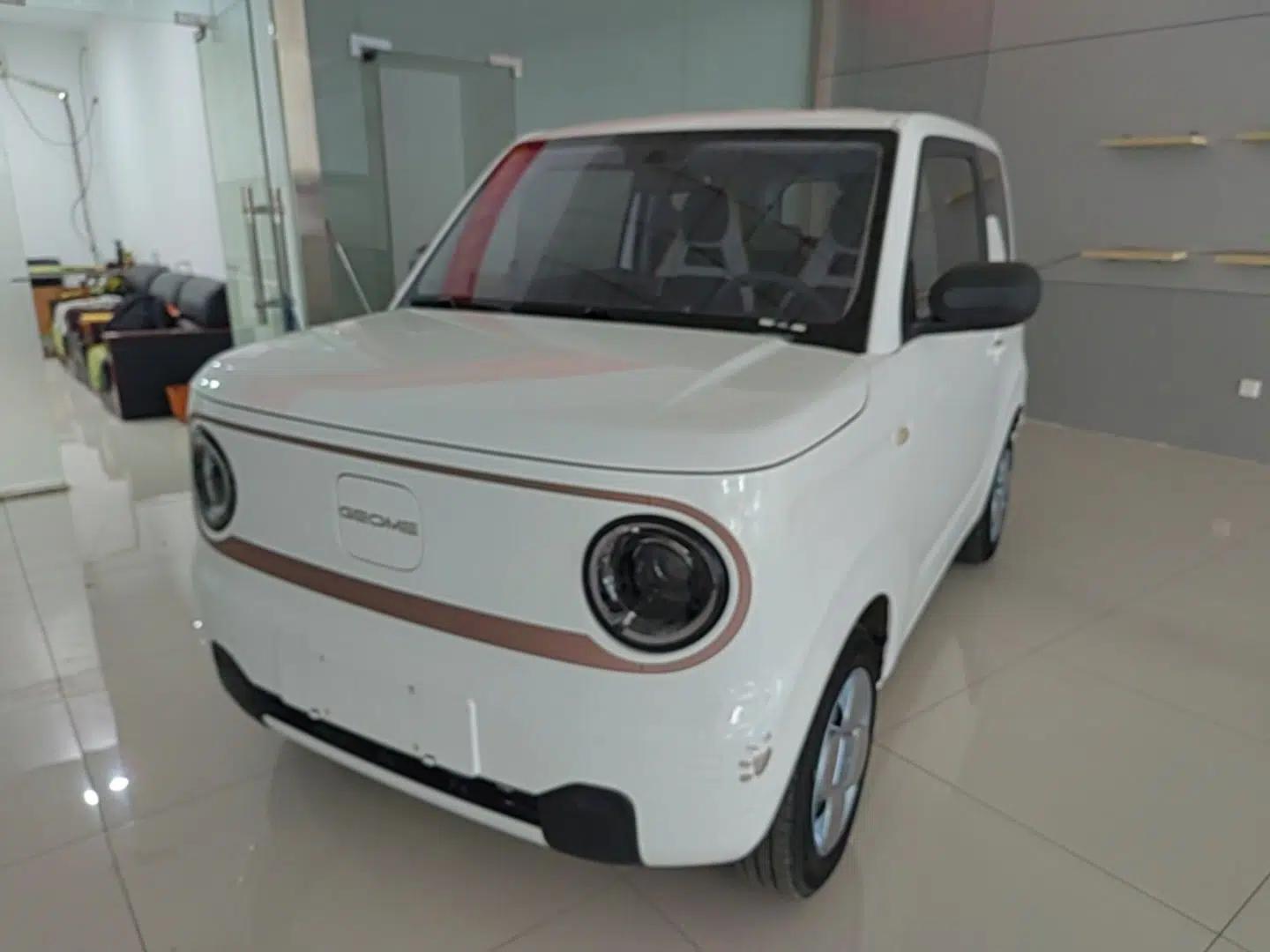 Geely Galaxy Panda 2023 Panda Mini 120km Super Cute Bear — миниатюра 1