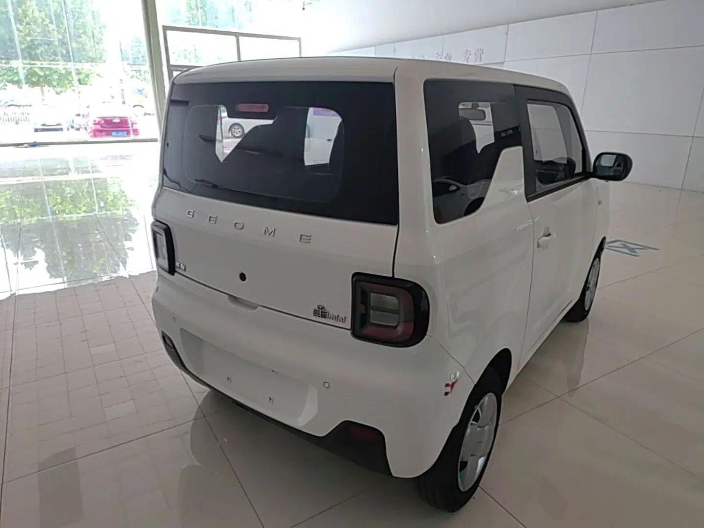 Geely Galaxy Panda 2023 Panda Mini 120km Super Cute Bear — миниатюра 6