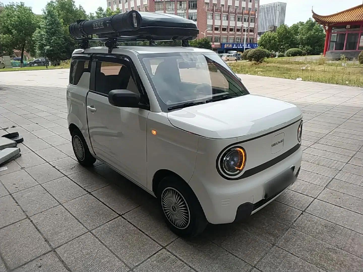 Geely Galaxy Panda 2023 Panda Mini 200km Endurance Bear — миниатюра 3