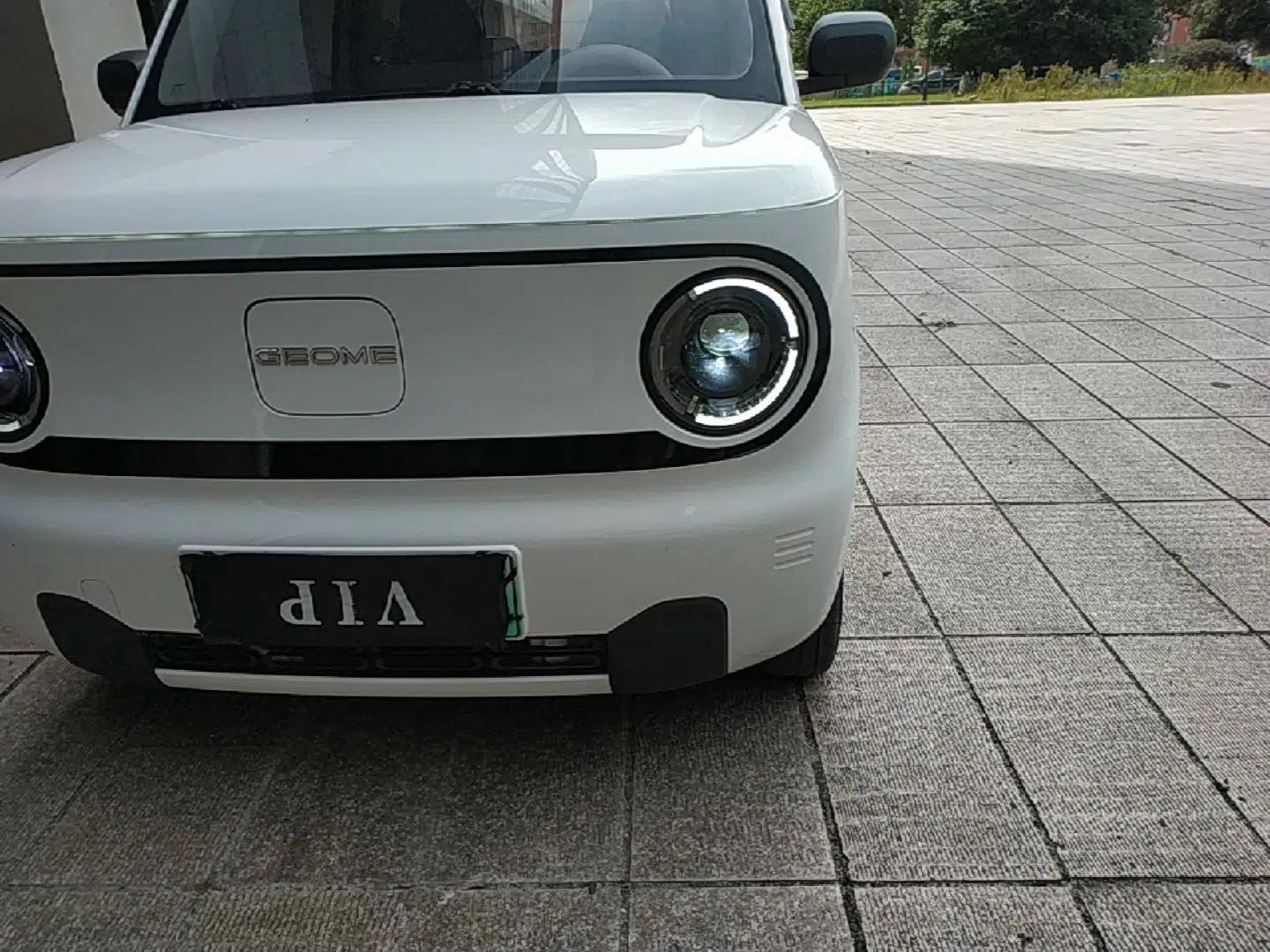 Geely Galaxy Panda 2023 Panda Mini 200km Endurance Bear — миниатюра 8
