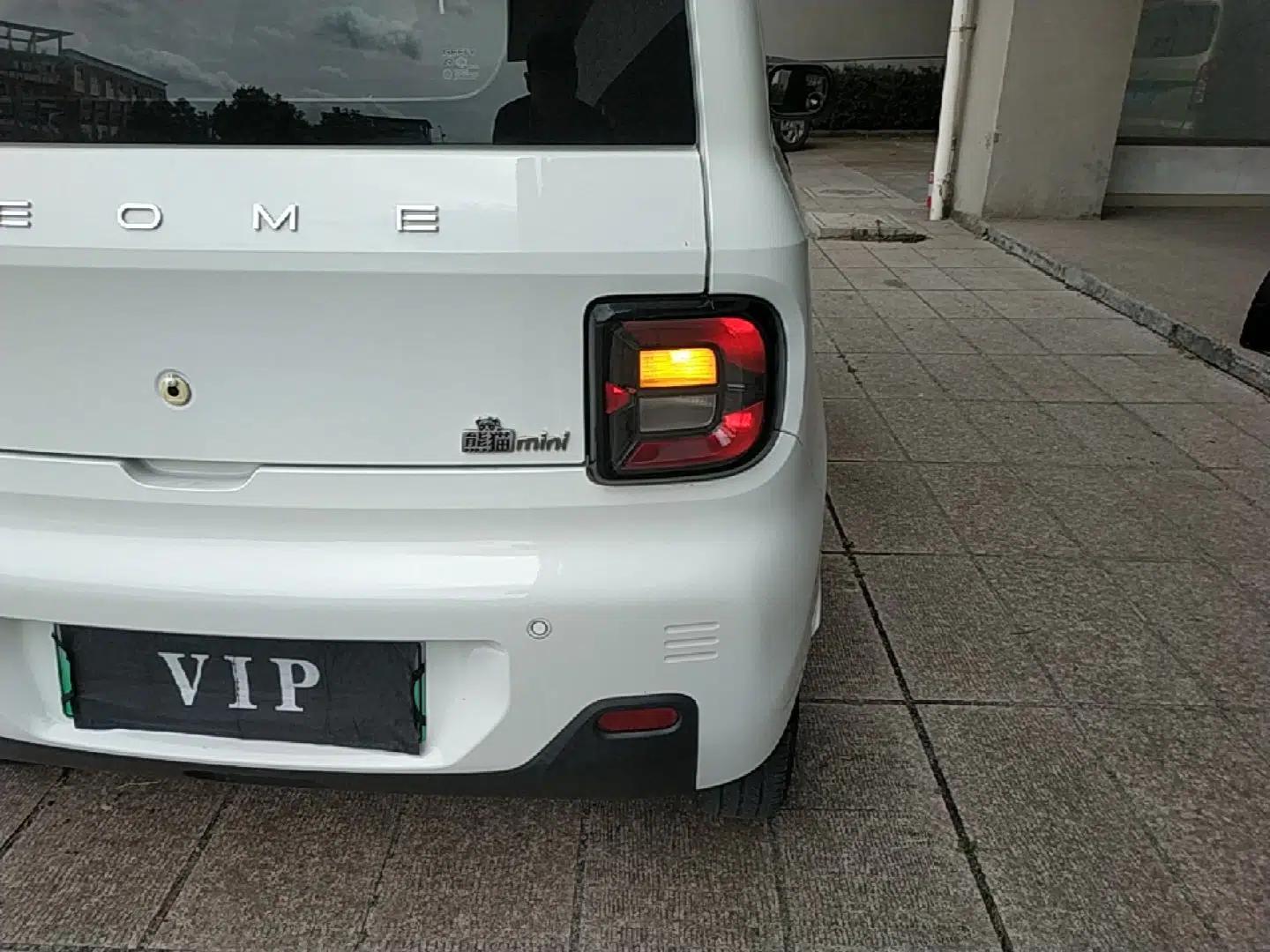Geely Galaxy Panda 2023 Panda Mini 200km Endurance Bear — миниатюра 9