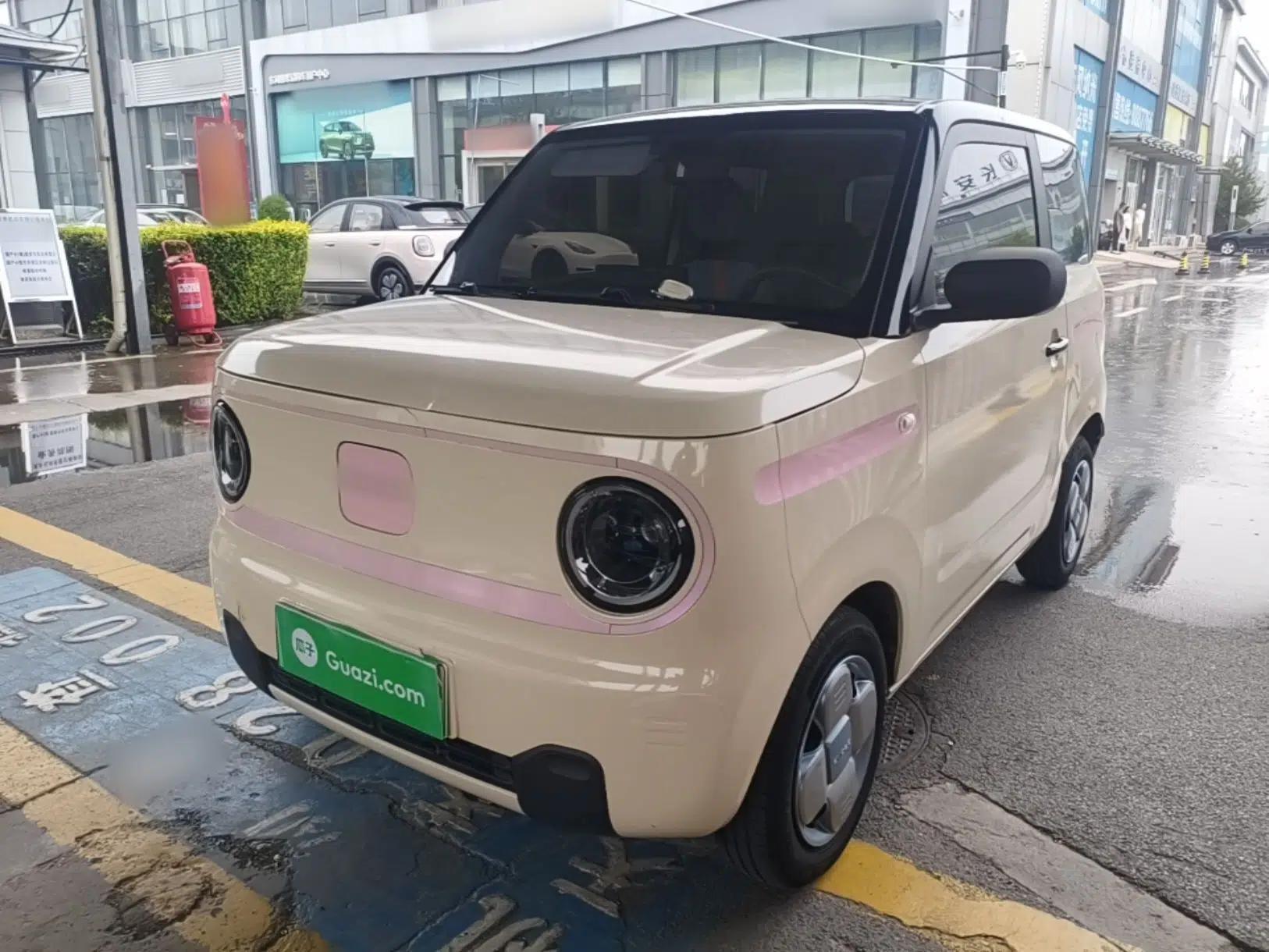 Geely Galaxy Panda 2024 Panda Mini 200km Endurance Bear — миниатюра 1