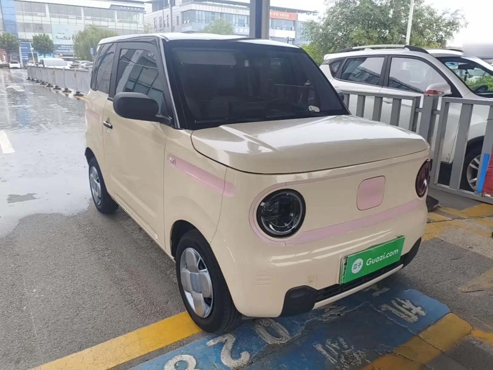 Geely Galaxy Panda 2024 Panda Mini 200km Endurance Bear — миниатюра 3