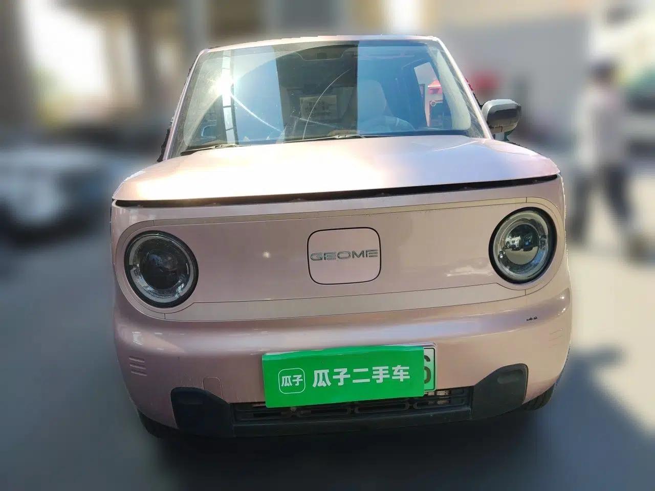Geely Galaxy Panda 2023 Panda Mini 200km Endurance Bear — миниатюра 2