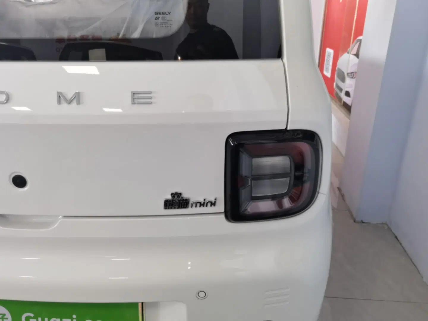 Geely Galaxy Panda 2024 Panda Mini 200km Endurance Bear — миниатюра 14