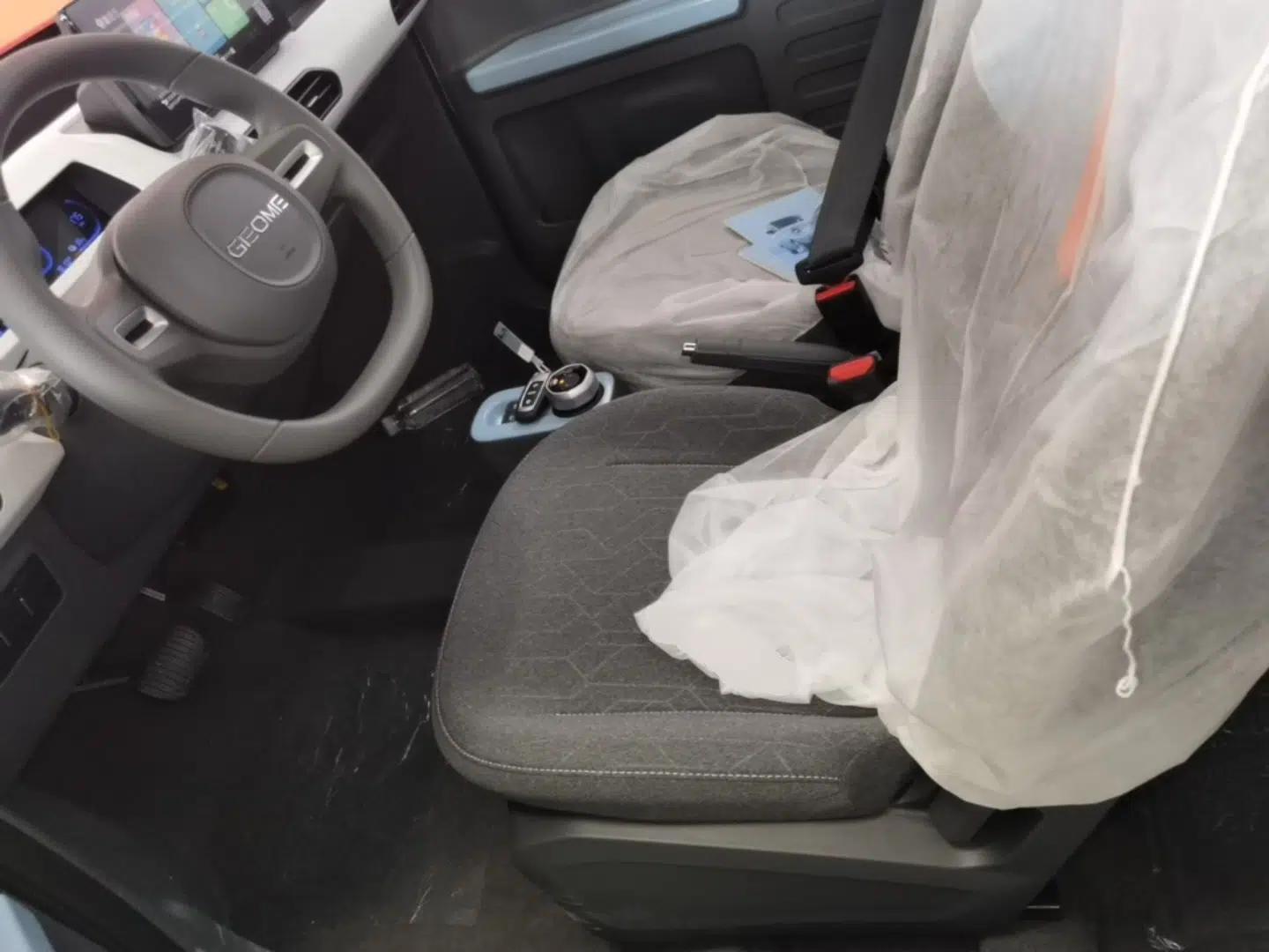 Geely Galaxy Panda 2024 Panda Mini 200km Endurance Bear — миниатюра 22