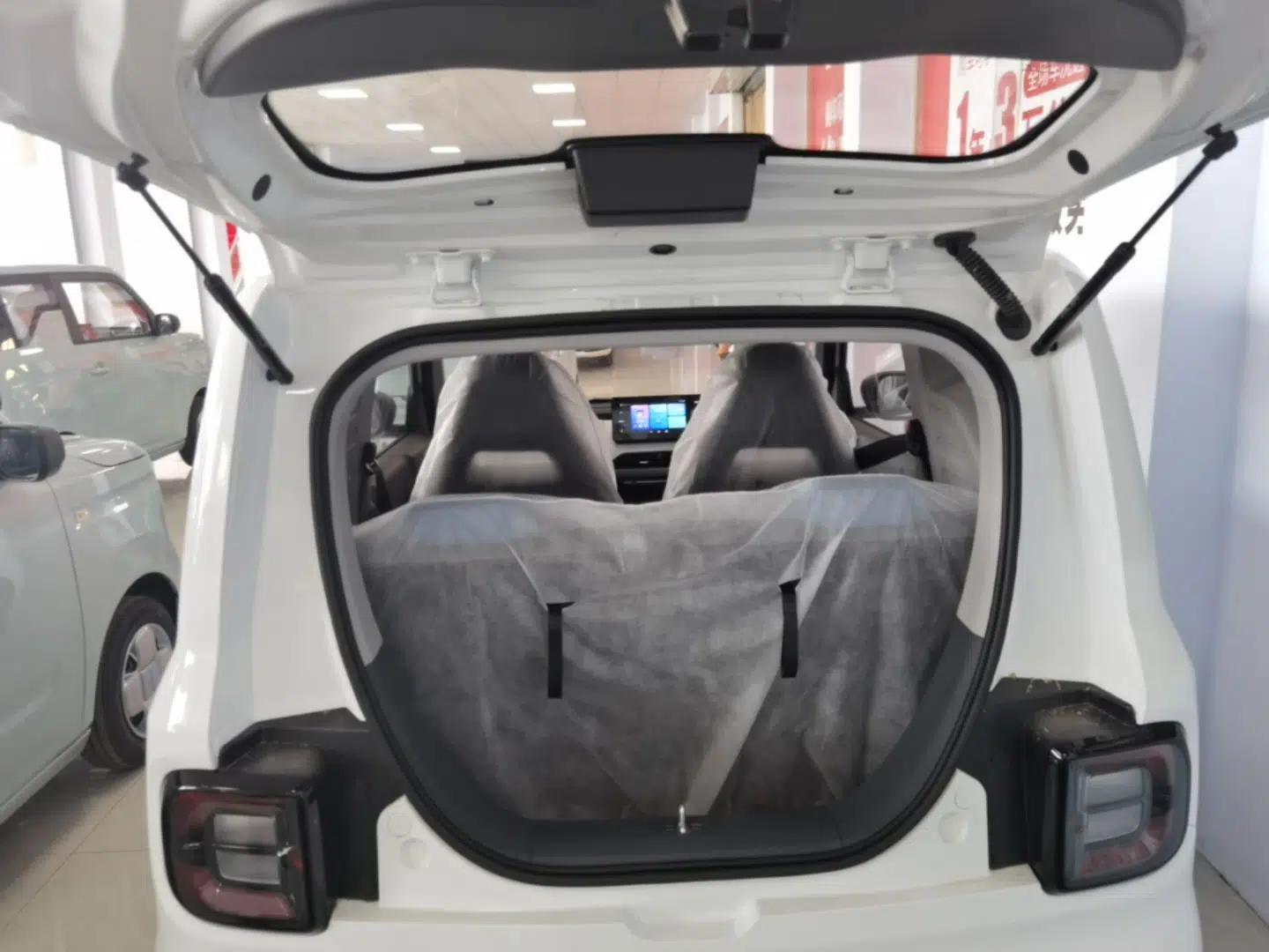 Geely Galaxy Panda 2024 Panda Mini 200km Endurance Bear — миниатюра 27