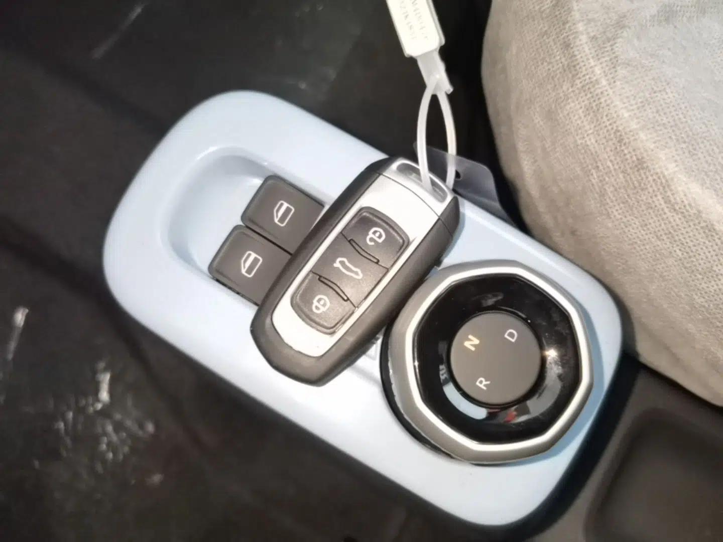 Geely Galaxy Panda 2024 Panda Mini 200km Endurance Bear — миниатюра 28