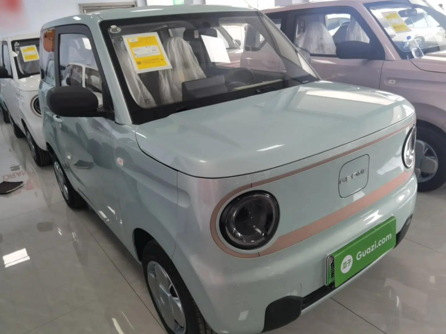 Geely Galaxy Panda 2024 Panda Mini 200km Endurance Bear — миниатюра 12