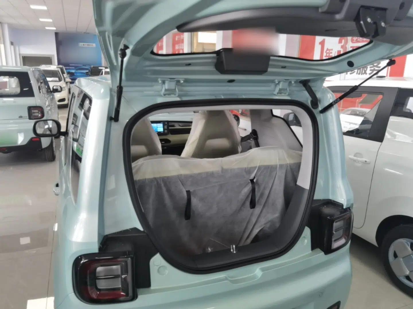 Geely Galaxy Panda 2024 Panda Mini 200km Endurance Bear — миниатюра 27