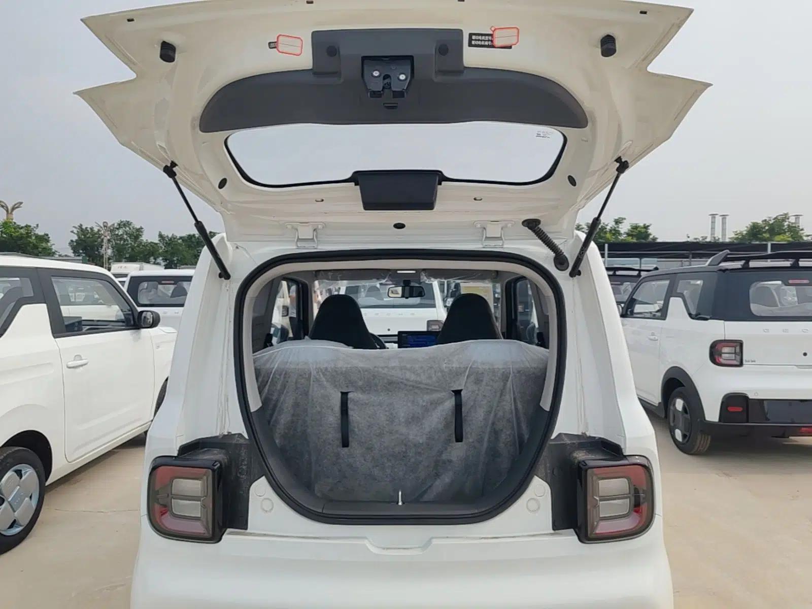 Geely Galaxy Panda 2024 Panda Mini 200km Endurance Bear — миниатюра 22