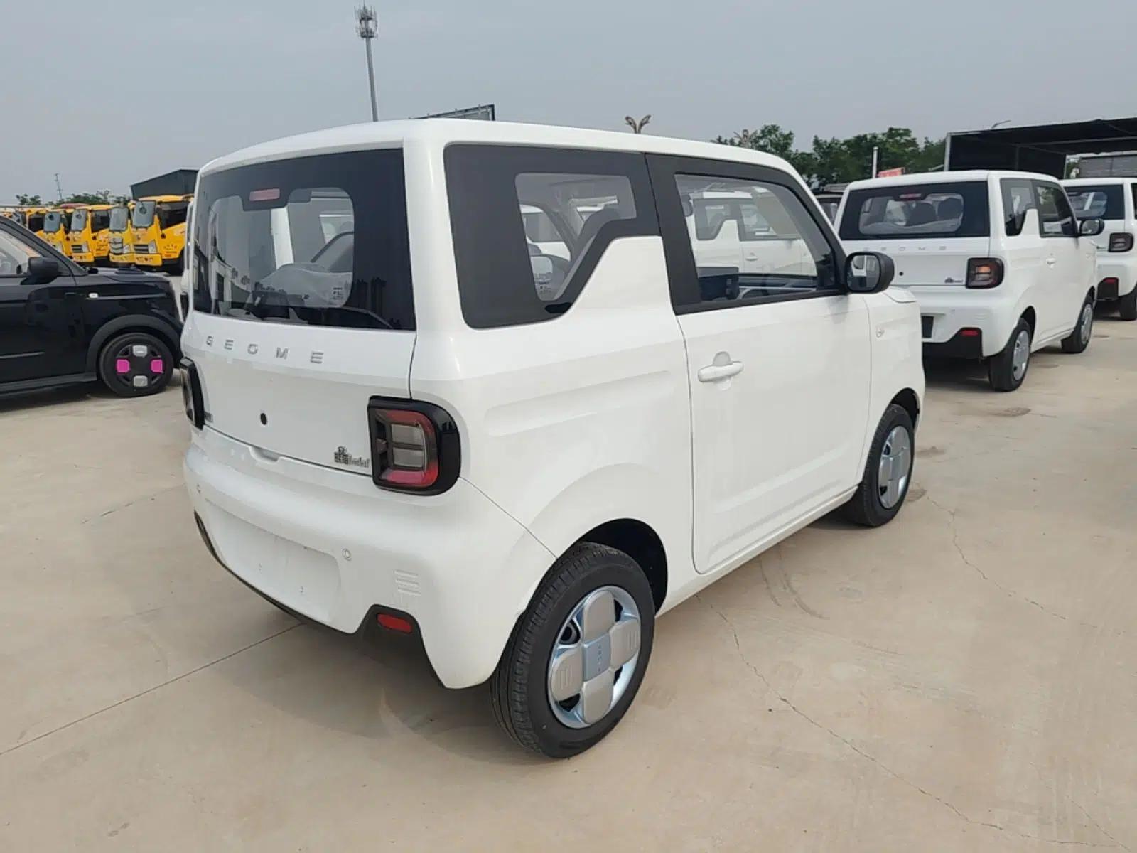 Geely Galaxy Panda 2024 Panda Mini 200km Endurance Bear — миниатюра 6