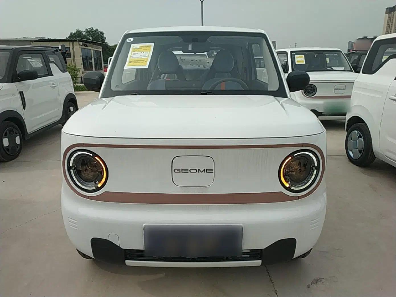 Geely Galaxy Panda 2024 Panda Mini 200km Endurance Bear — миниатюра 2