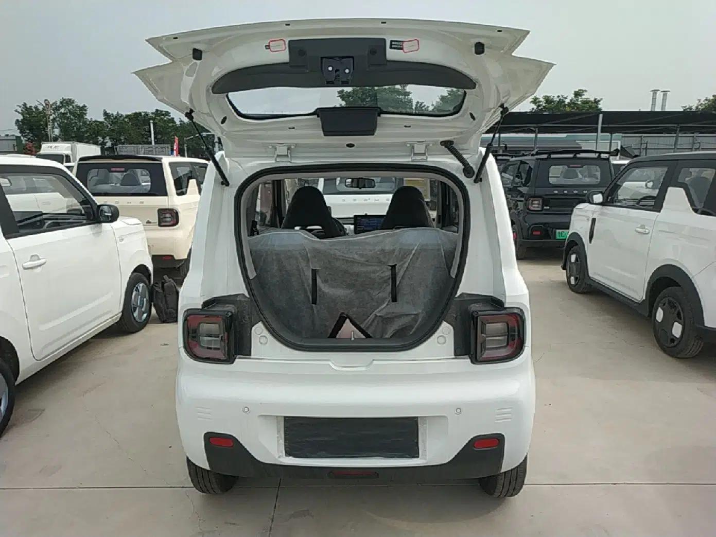 Geely Galaxy Panda 2024 Panda Mini 200km Endurance Bear — миниатюра 22