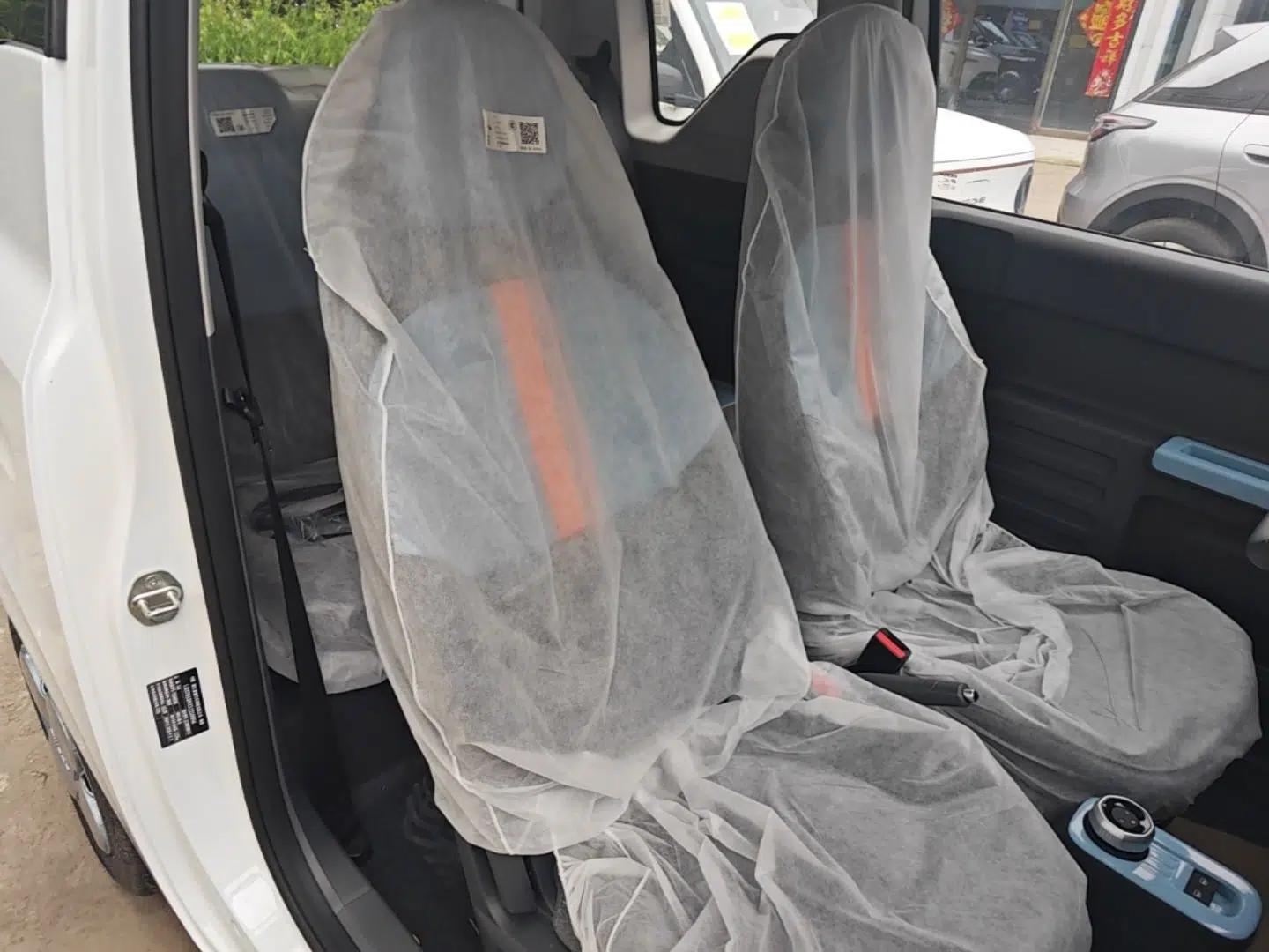 Geely Galaxy Panda 2024 Panda Mini 200km Endurance Bear — миниатюра 24