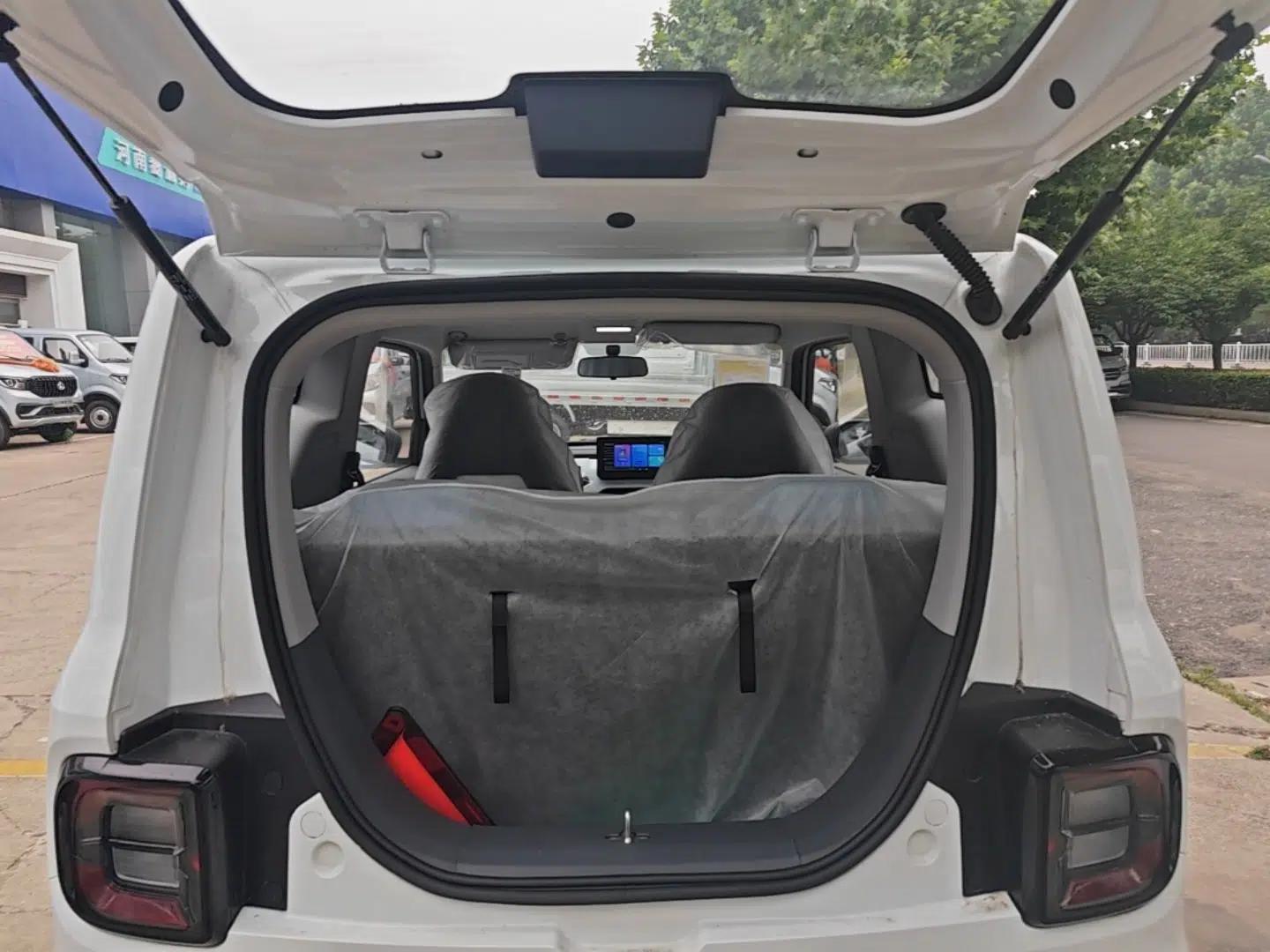 Geely Galaxy Panda 2024 Panda Mini 200km Endurance Bear — миниатюра 27