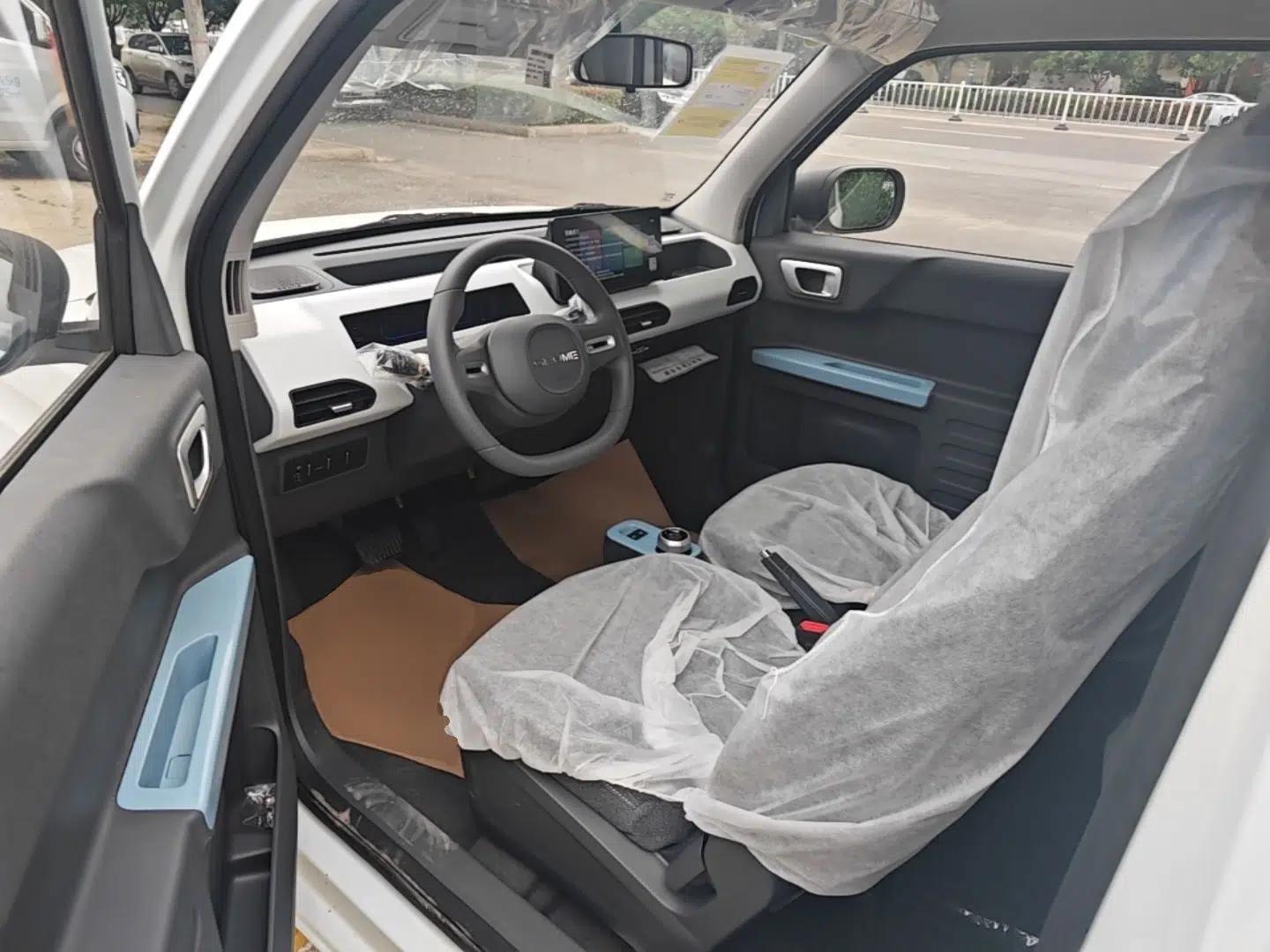 Geely Galaxy Panda 2024 Panda Mini 200km Endurance Bear — миниатюра 23