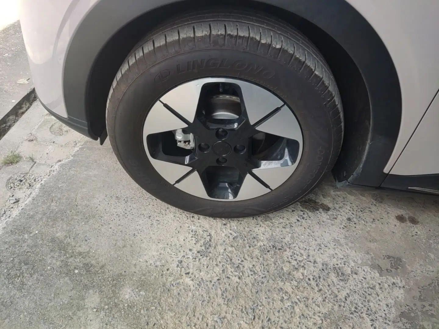 Geely Galaxy Geome 2025 310km Dream Edition — миниатюра 10