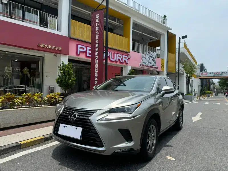 Lexus NX 2020 200 FWD Avant Edition (China VI Emission Standard) — миниатюра 1
